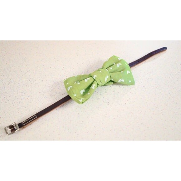 2 Bandanas for Dogs - Earth Rated Dog Bandana, Bowtie, Scarf, etc. - Light Green - Picture 2 of 4